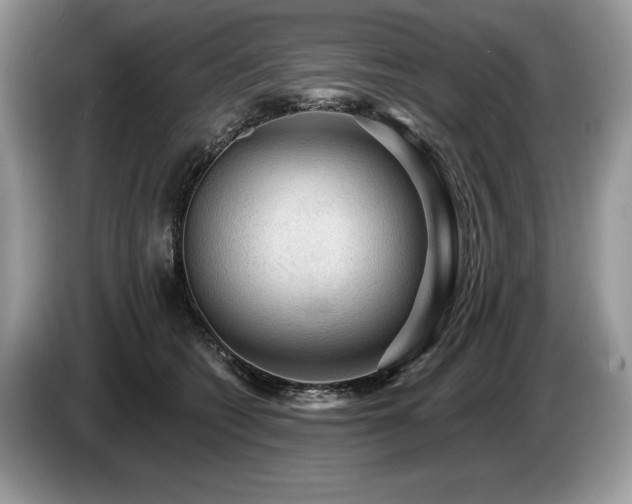 X0000087550562200704271210