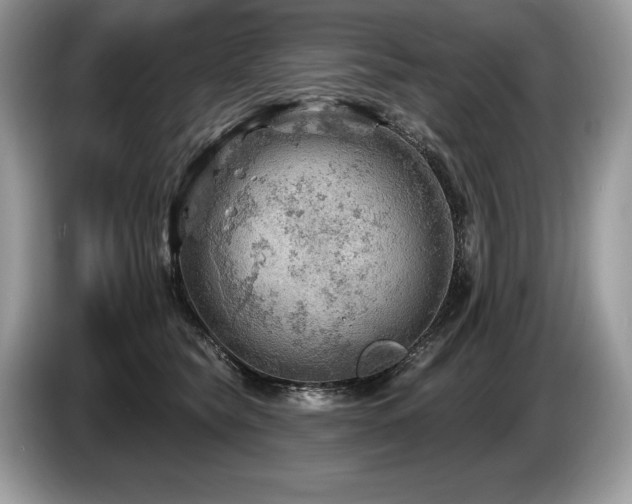 X0000087550565200704271210