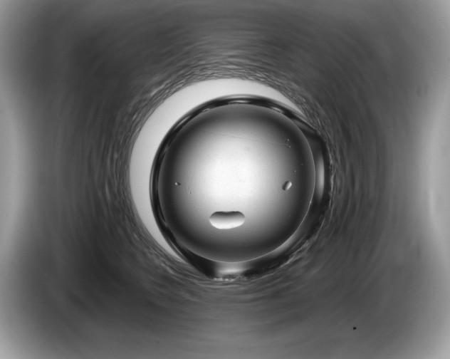X0000087550566200704271210