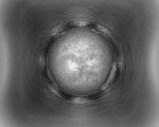 X0000087550568200704271210