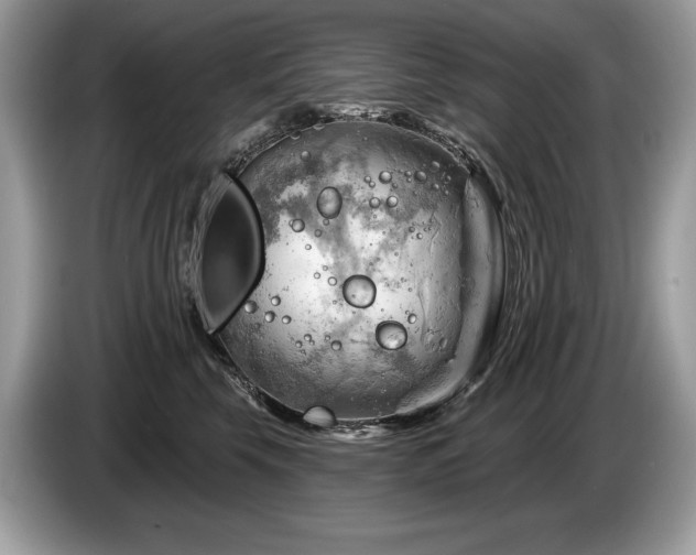 X0000087550569200704271210