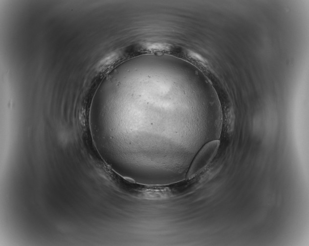 X0000087550571200704271210