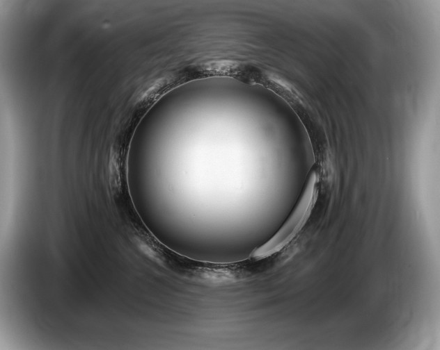 X0000087550572200704271210