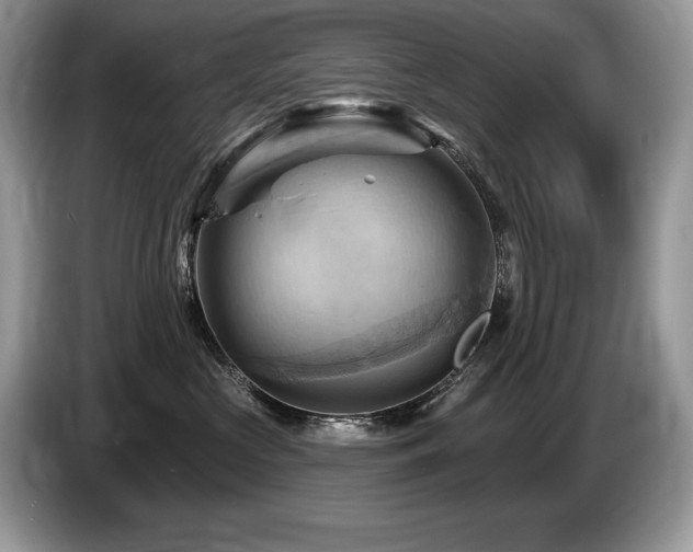 X0000087550573200704271210