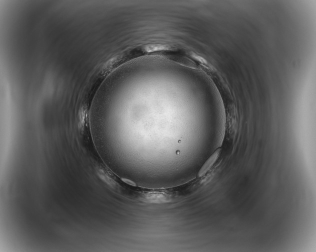 X0000087550574200704271210