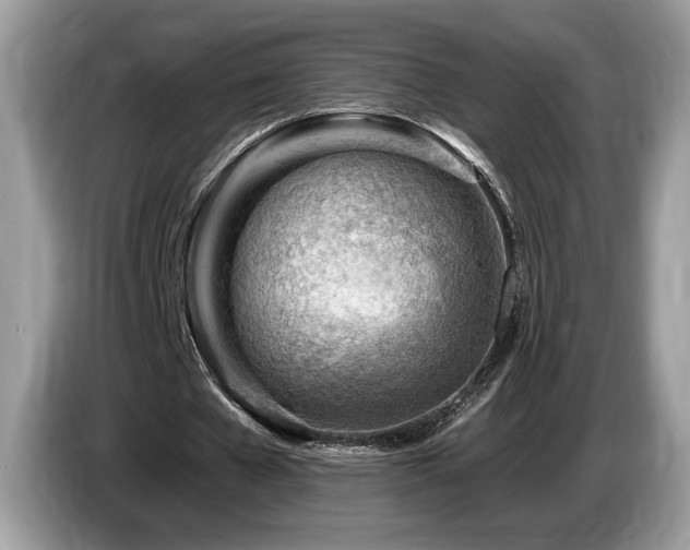 X0000087550577200704271210