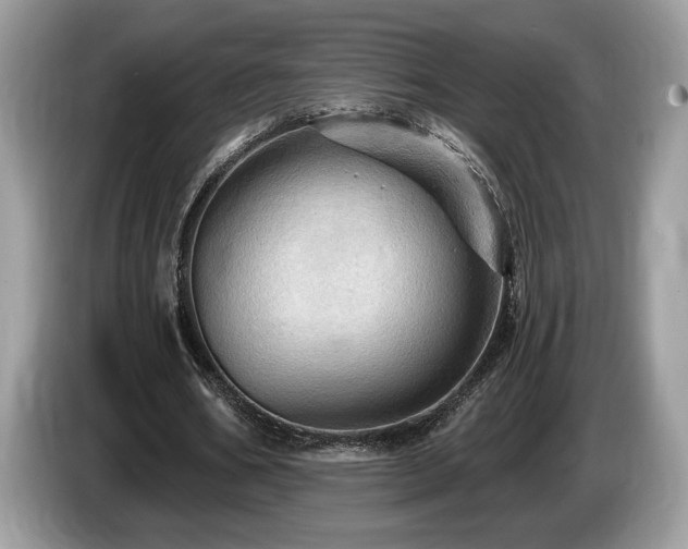 X0000087550578200704271210