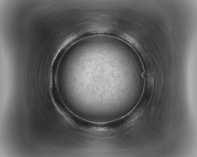 X0000087550582200704271210