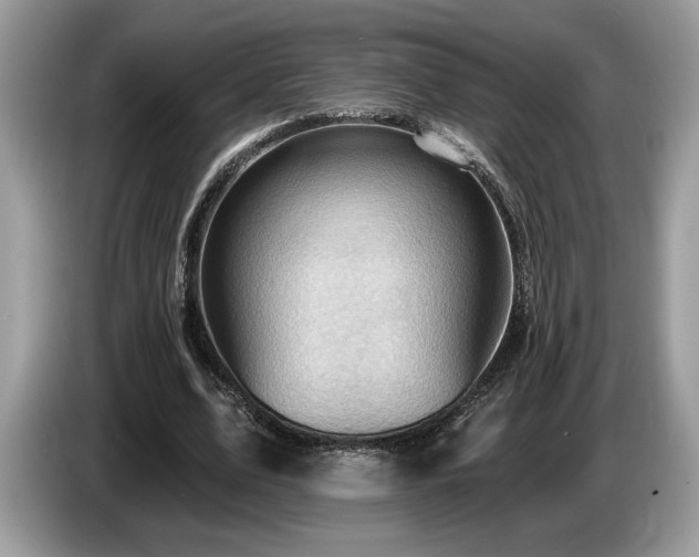 X0000087550583200704271210