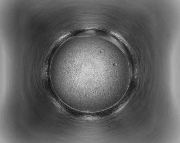 X0000087550585200704271210