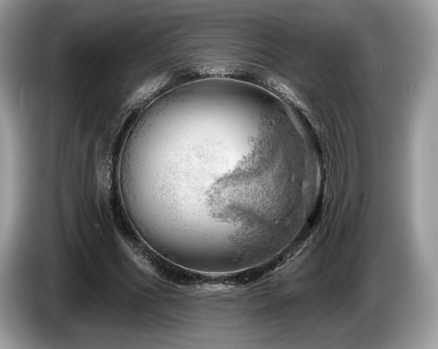 X0000087550586200704271210