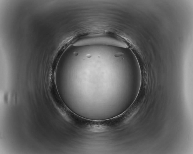 X0000087550590200704271210