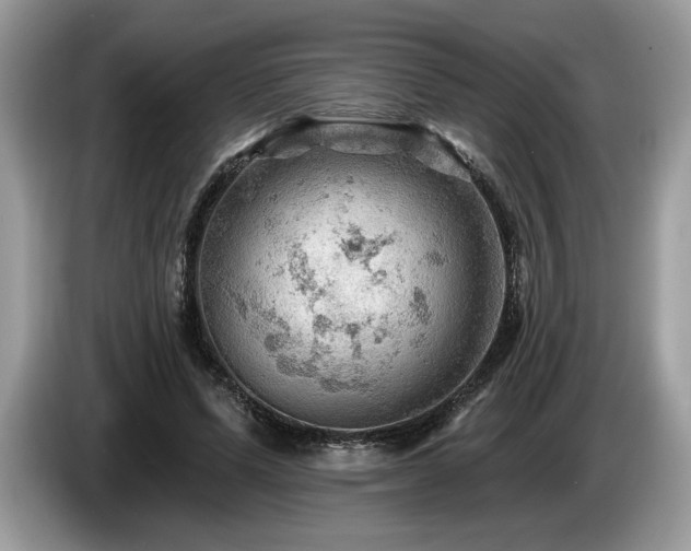 X0000087550591200704271210