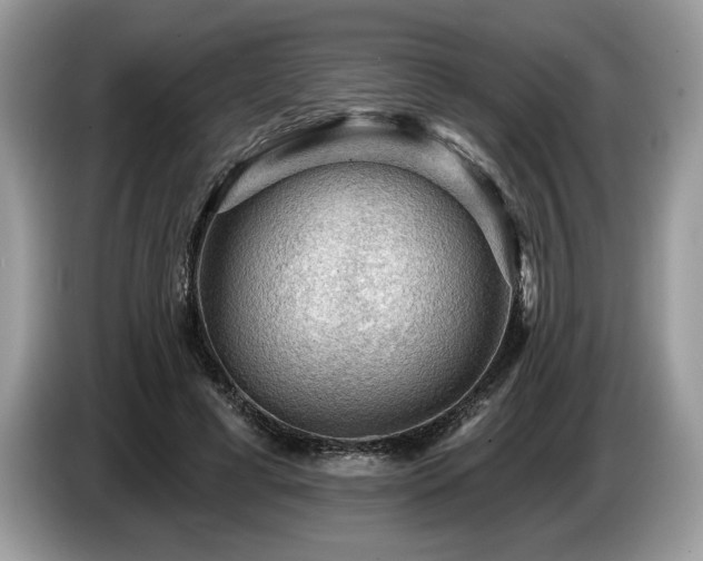 X0000087550593200704271210