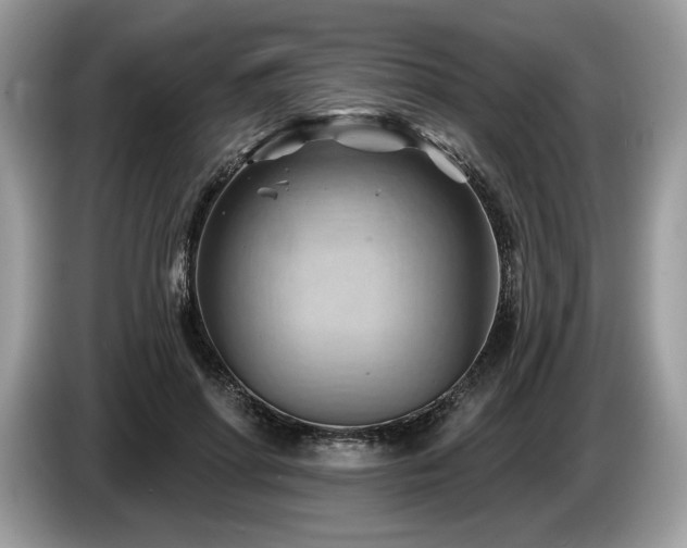 X0000087550598200704271210