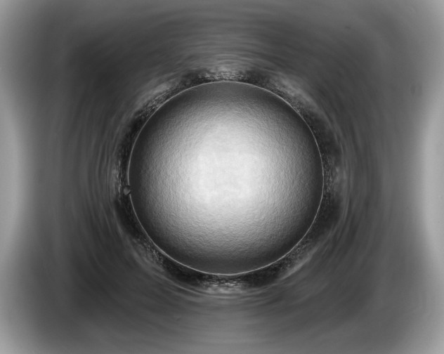 X0000087550599200704271210