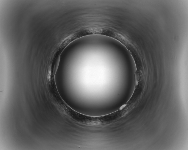 X0000087550600200704271210
