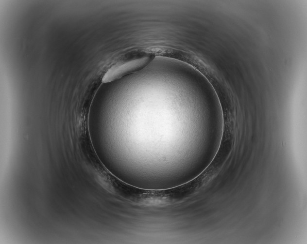 X0000087550601200704271209