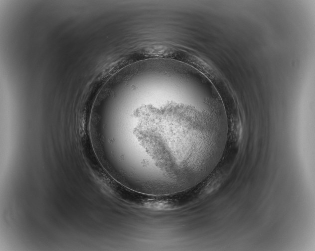 X0000087550602200704271209