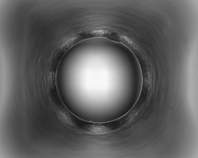 X0000087550605200704271209