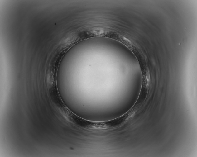 X0000087550606200704271209