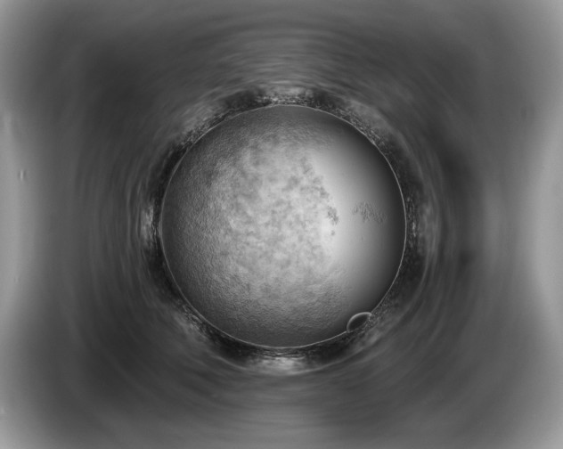 X0000087550610200704271209