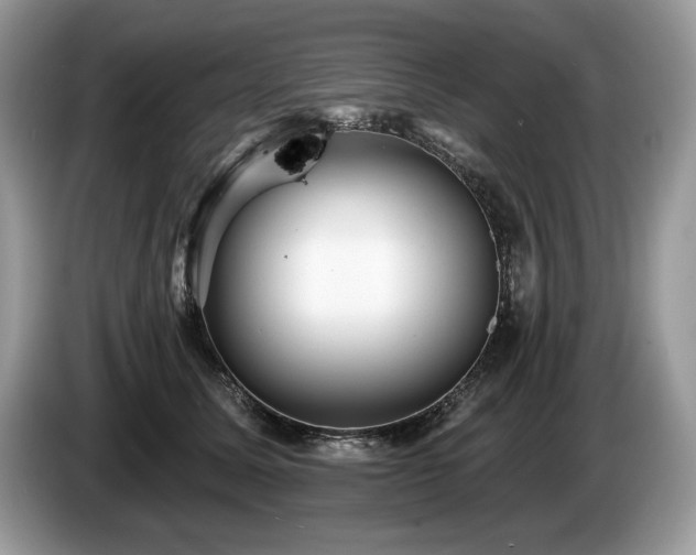 X0000087550611200704271209
