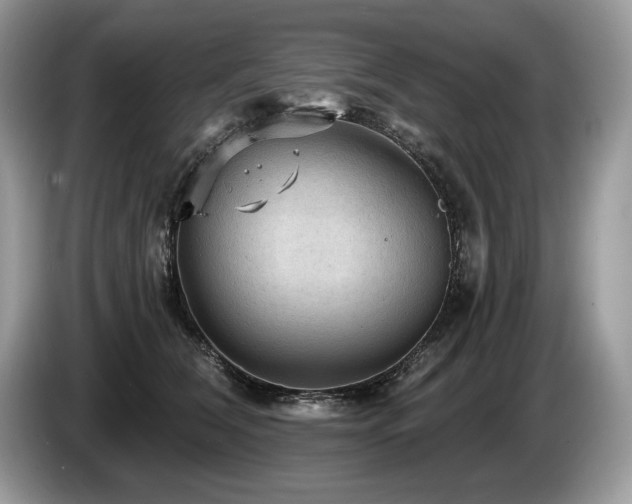 X0000087550612200704271209