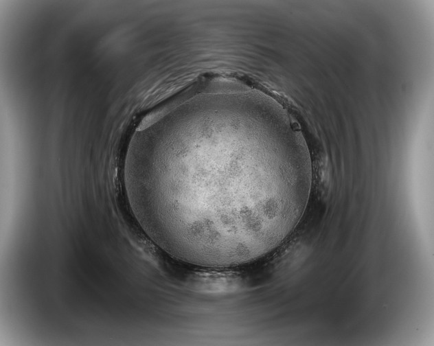 X0000087550615200704271209