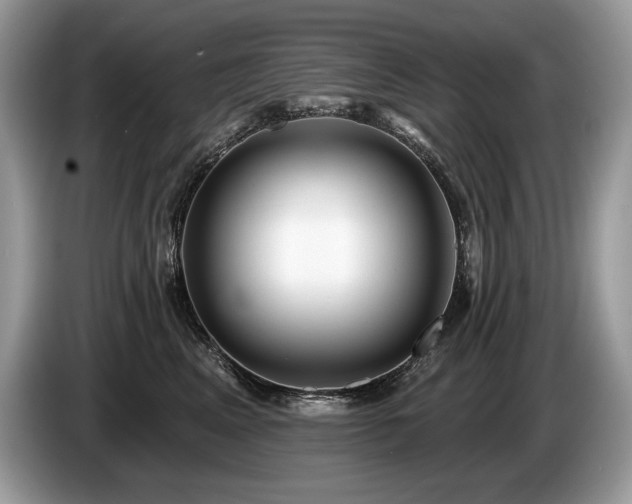 X0000087550617200704271209