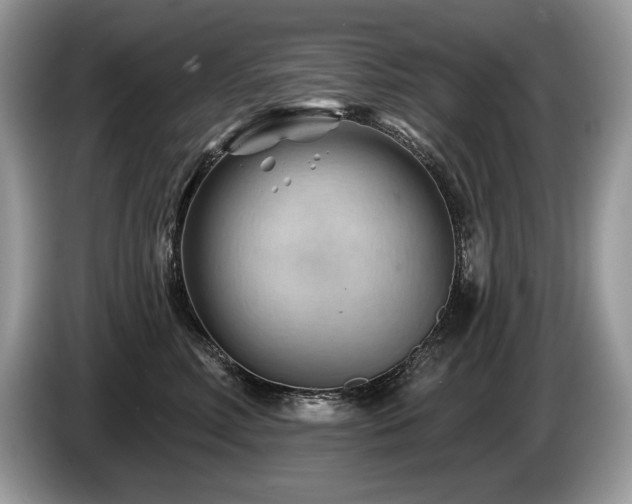 X0000087550618200704271209