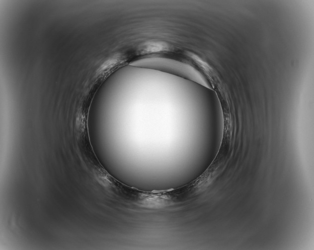X0000087550621200704271209