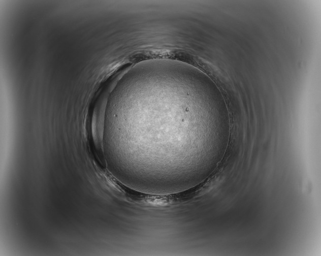 X0000087550624200704271209
