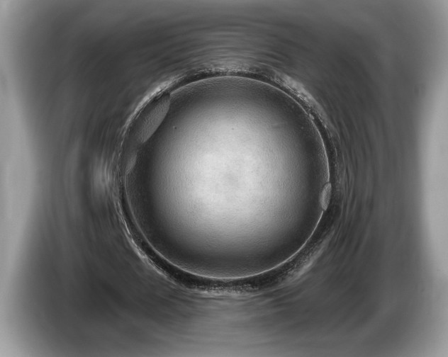 X0000087550625200704271209
