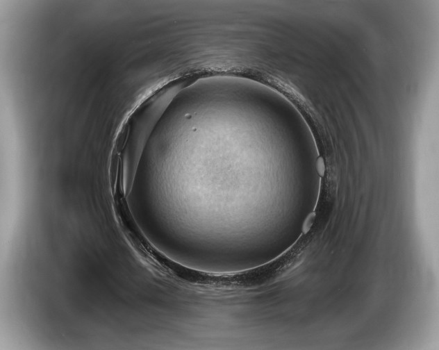 X0000087550626200704271209