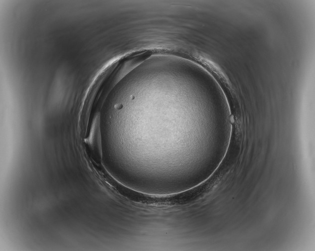 X0000087550628200704271209