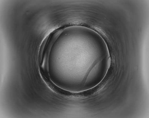 X0000087550630200704271209