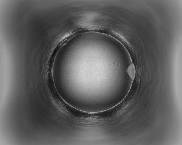 X0000087550631200704271209
