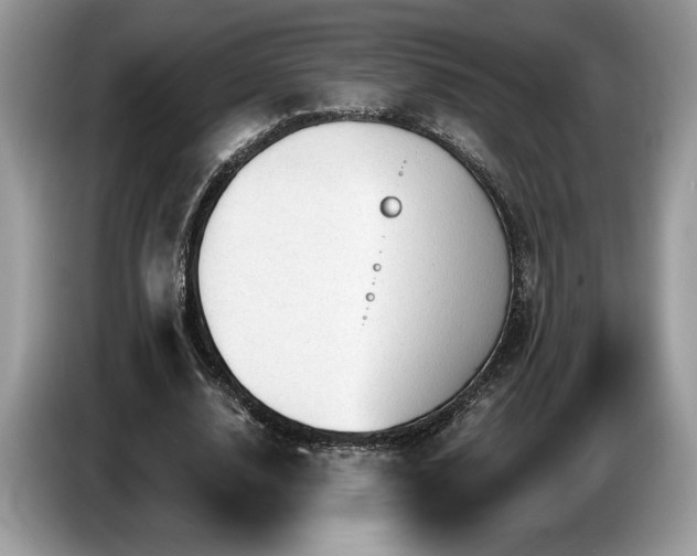 X0000087550632200704271209