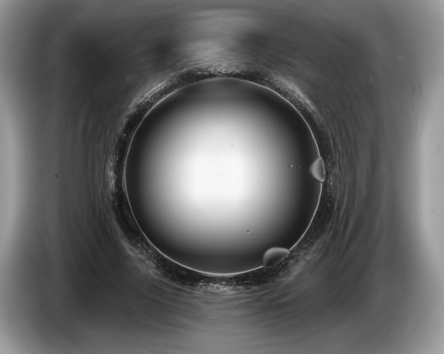 X0000087550635200704271209