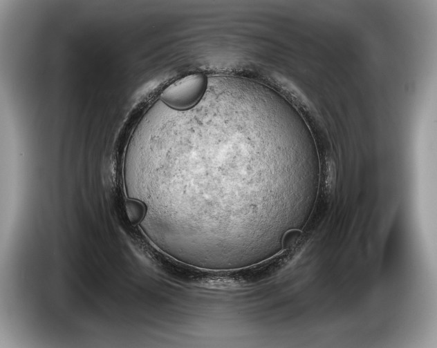 X0000087550636200704271209