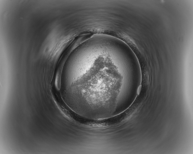 X0000087550638200704271209