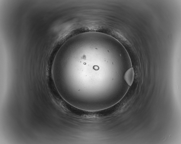X0000087550639200704271209