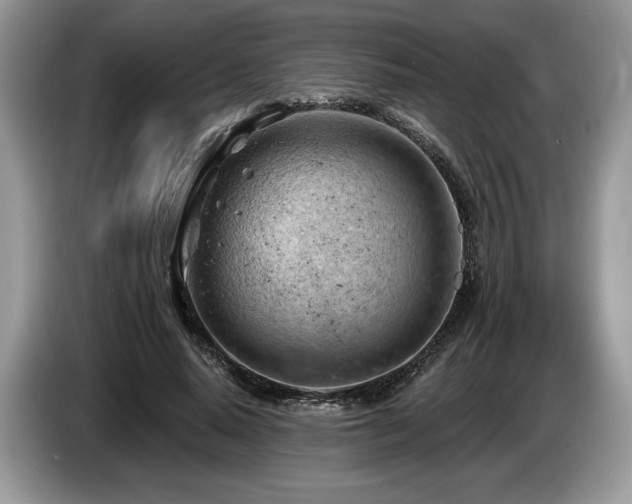 X0000087550640200704271209