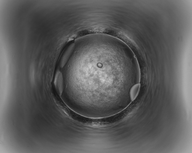 X0000087550641200704271209