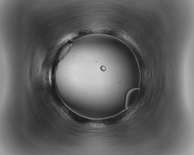 X0000087550644200704271209