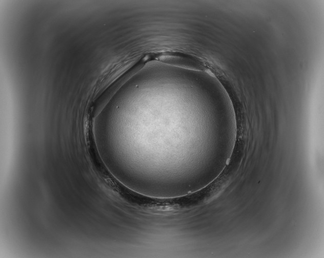 X0000087550646200704271209
