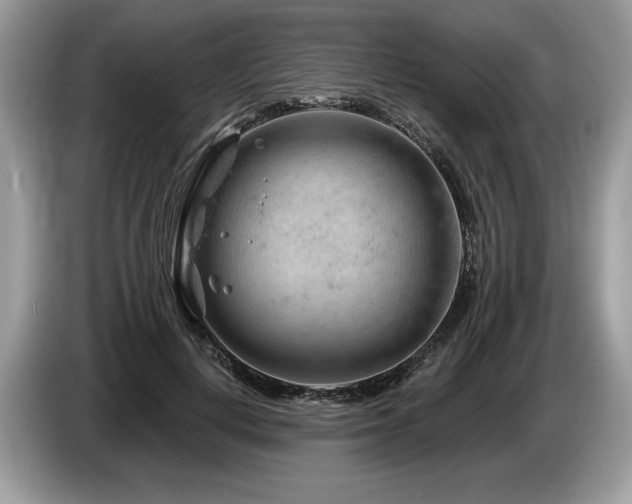 X0000087550648200704271209