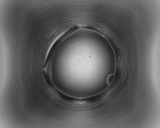 X0000087550650200704271209