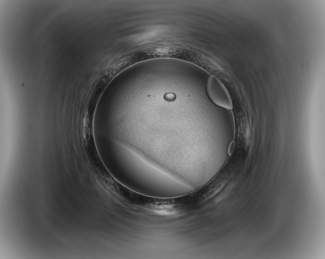X0000087550651200704271209